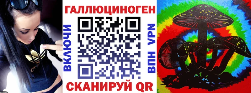 закладка  Куровское  hydra зеркало  Псилоцибиновые грибы Psilocybine cubensis 